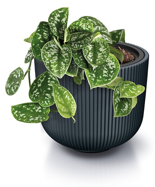 Prosperplast Kvetináč MILLA V biely, variant 29,8 cm
