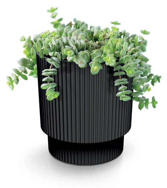 Prosperplast Kvetináč MILLA VII tmavá zelená, variant 19,5 cm