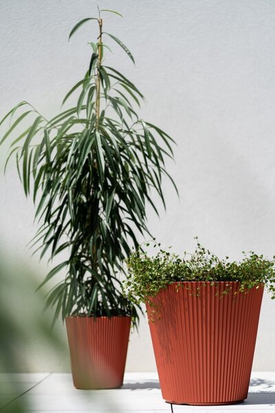 Prosperplast Kvetináč MILLA VI biely, variant 29,9 cm