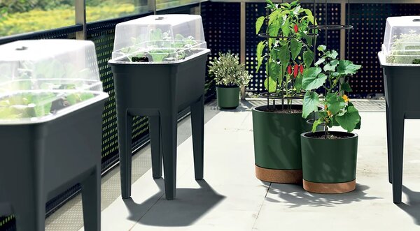 Prosperplast Kvetináč na pestovanie paradajok DOMÁCI PESTOVATEĽ EKO DREVO hnedý, variant 14,5 l