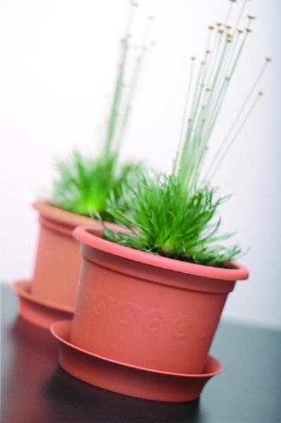 Prosperplast Kvetináč Plastica terakota, variant 28 cm