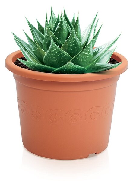 Prosperplast Kvetináč Plastica terakota, variant 28 cm
