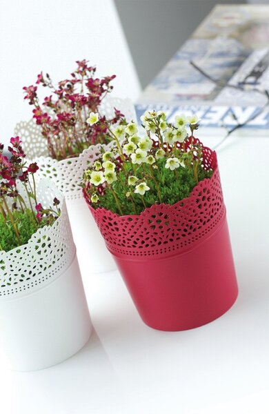 Prosperplast Kvetináč s čipkou Lace biely, variant 18 cm