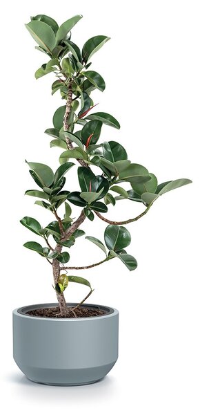 Prosperplast Kvetináč s vkladom HEOSE VI biely, variant 29,8 cm