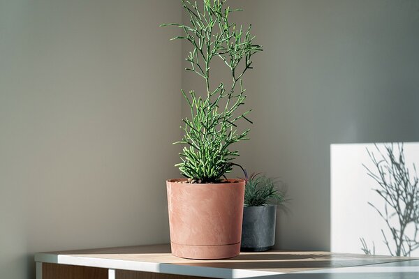 Prosperplast Kvetináč TUBOS P s betónovým efektom odtieň marengo matný, variant 17,8 cm