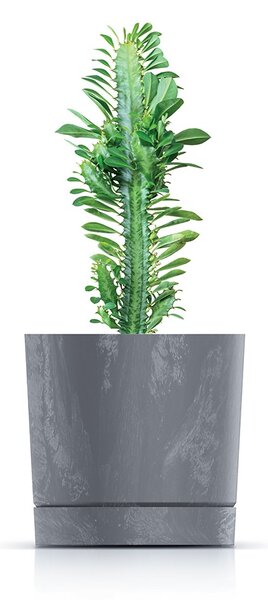 Prosperplast Kvetináč TUBOS P s betónovým efektom odtieň marengo matný, variant 17,8 cm