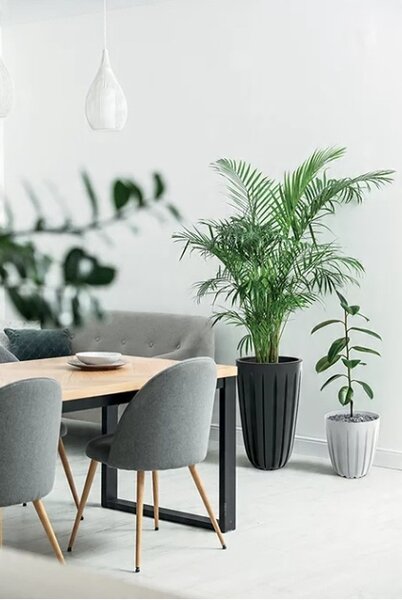 Prosperplast Kvetináč Warios Eco Wood biely, variant 16,3 cm