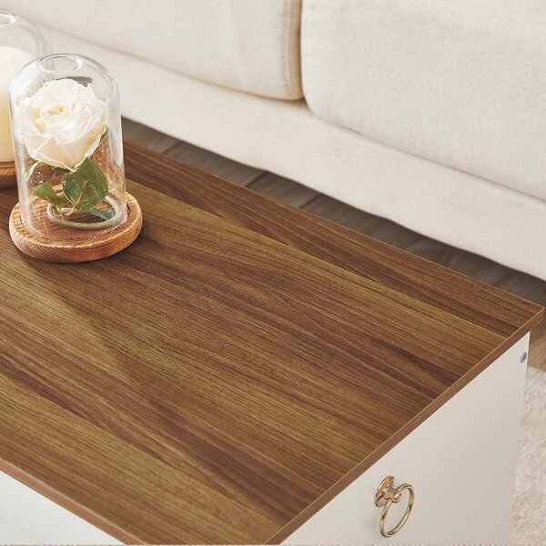 Lavica s úložným priestorom Vasagle Braisy 100 cm biela/orech