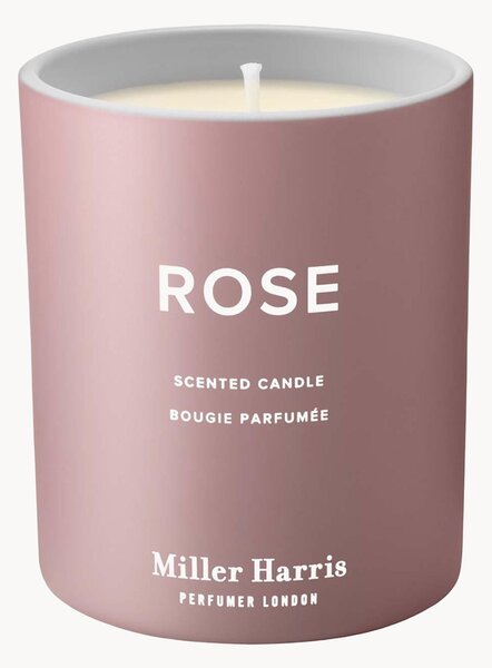 Vonná sviečka Rose (Turkish Rose Absolute, Blackcurrant, Cashmere Musk)
