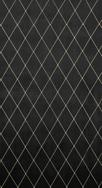 ZATEMŇOVACÍ ZÁVES NA KRÚŽKOCH PIERRE CARDIN MARGO 140X250 CM ČIERNA