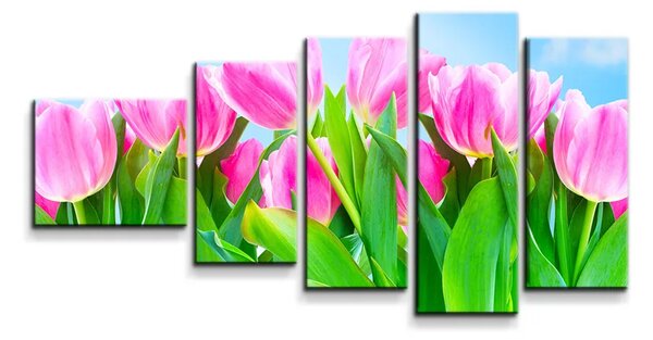 Sablio Obraz - 5-dílný Ružové tulipány - 100x60 cm