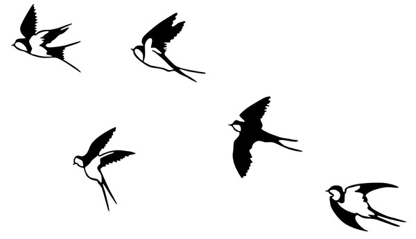 Wallity Nástenná kovová dekorácia Ebabil čierna