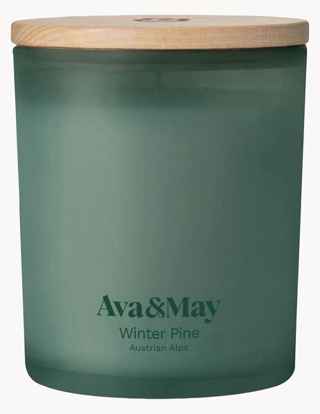 Vonná sviečka Winter Pine (Pine, Cedar Wood & Eucalyptus)