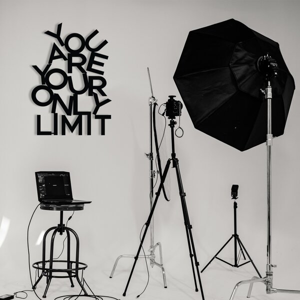 Wallity Nástenná kovová dekorácia Limit čierna