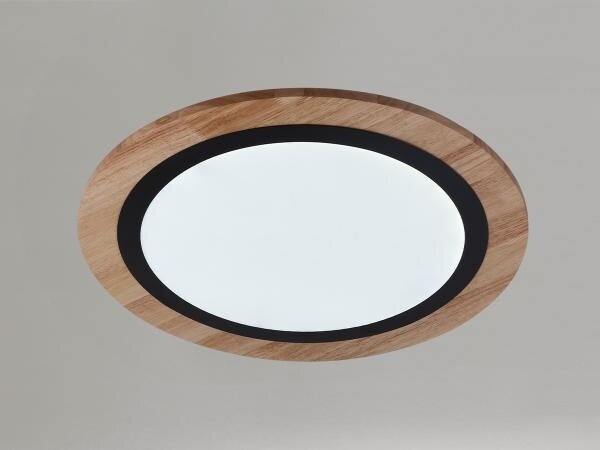 LED stmievateľné stropné svietidlo LED/25W/230V 3000-6500K + diaľkové ovládanie
