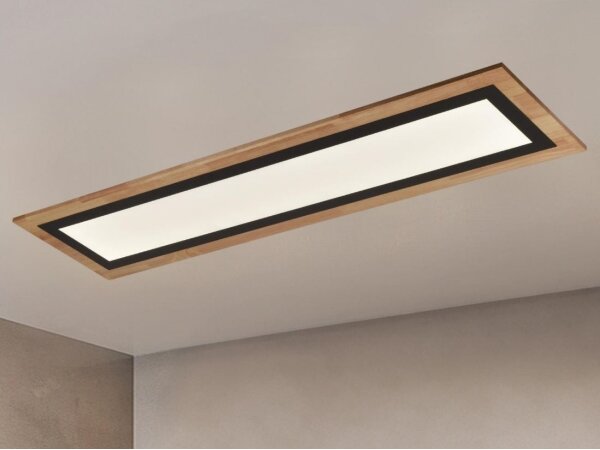 LED stmievateľné stropné svietidlo LED/55W/230V 3000-6500K + diaľkové ovládanie