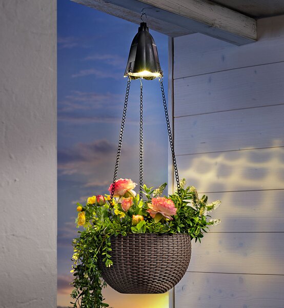 Weltbild Závesné kvetináče so solárnym osvetlením