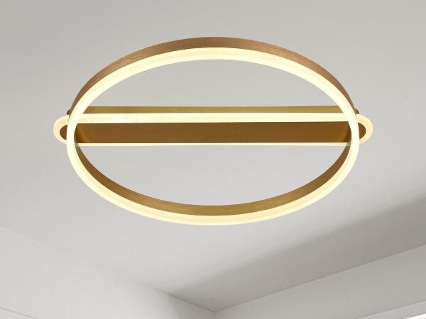 LED Stmievateľné stropné svietidlo LED/60W/230V 3000-6500K + diaľkové ovládanie
