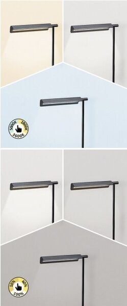 Rabalux 2934 - LED Dotyková stmievateľná lampa LED/7W/230V 3000K/4000K/6500K