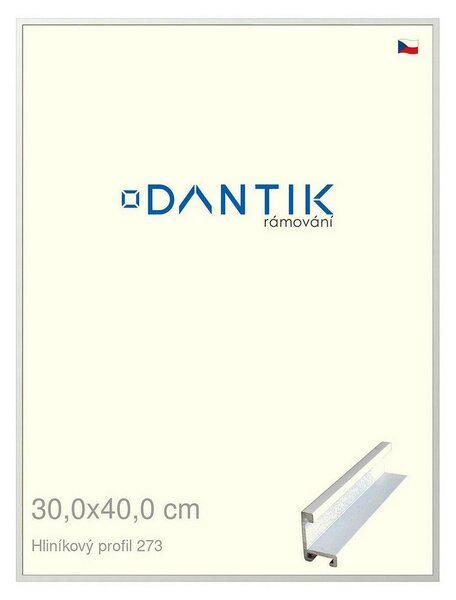DANTIK rám na obraz 30x40 | ALU Bílá matná (Plexi Čiré)