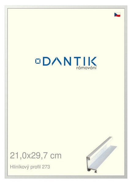 DANTIK rám na obraz 21x29,7 | ALU Bílá matná (Sklo Čiré)