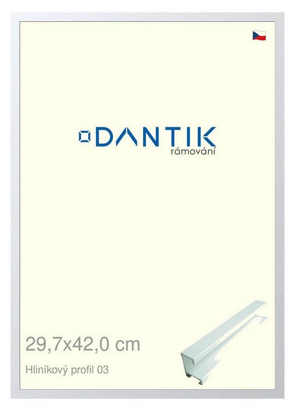 DANTIK rám na obraz 29,7x42 | ALU Bílá matná (Plexi Čiré)