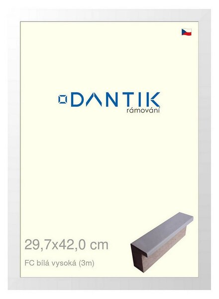 DANTIK rám na obraz 29,7x42 | FC Bílá vysoká (Plexi Čiré)