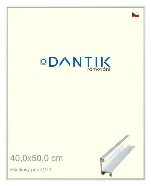 DANTIK rám na obraz 40x50 | ALU Bílá matná (Plexi Čiré)