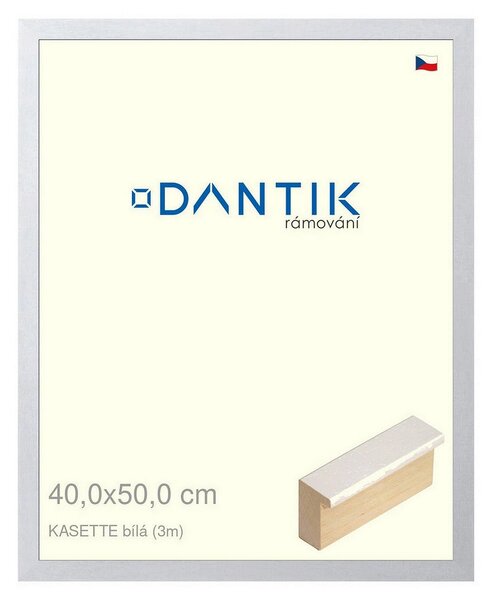 DANTIK rám na obraz 40x50 | KASSETTE bílá (Sklo Čiré)