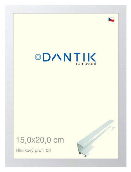 DANTIK rám na obraz 15x20 | ALU Bílá matná (Sklo Čiré)