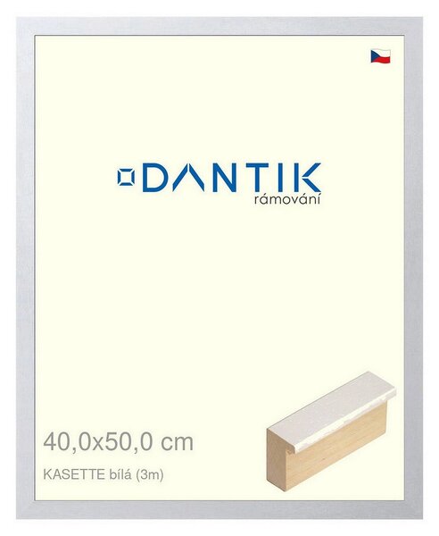 DANTIK rám na obraz 40x50 | KASSETTE bílá (Plexi Čiré)