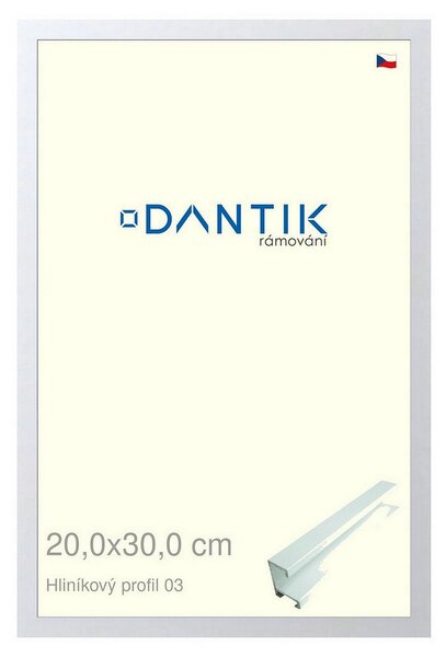 DANTIK rám na obraz 20x30 | ALU Bílá matná (Sklo Čiré)