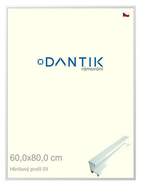 DANTIK rám na obraz 60x80 | ALU Bílá matná (Plexi Čiré)