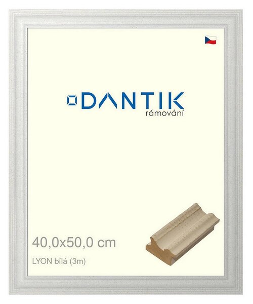 DANTIK rám na obraz 40x50 | LYON Bílá (Plexi Čiré)