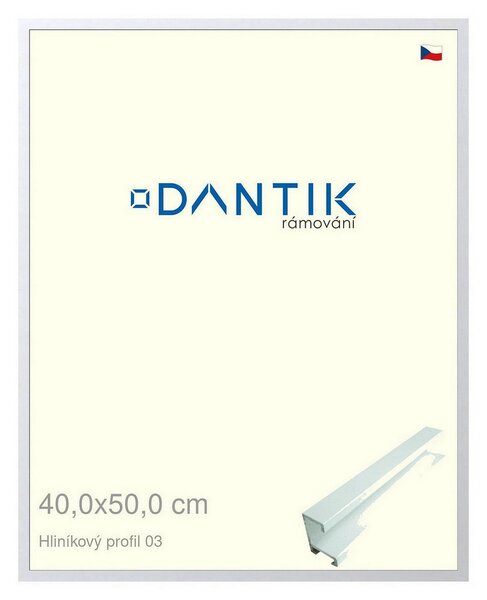 DANTIK rám na obraz 40x50 | ALU Bílá matná (Plexi Čiré)