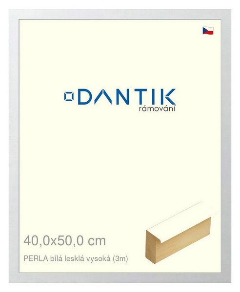 DANTIK rám na obraz 40x50 | PERLA bílá lesklá vysoká (Plexi Čiré)