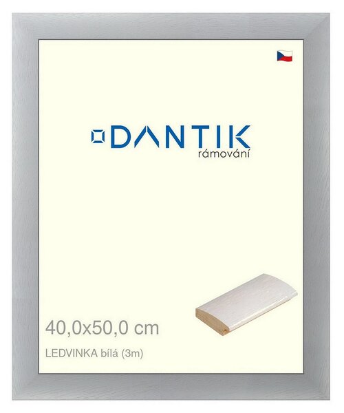 DANTIK rám na obraz 40x50 | LEDVINKA bílá (Sklo Čiré)