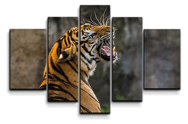 Sablio Obraz - 5-dílný Revúci tiger - 125x90 cm