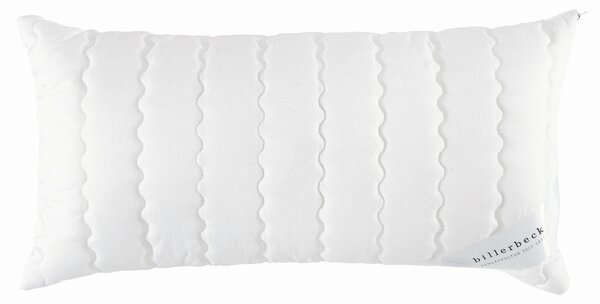 VANKÚŠ POD HLAVU, 40/80 cm Billerbeck - Prikrývky & vankúše, Online Only