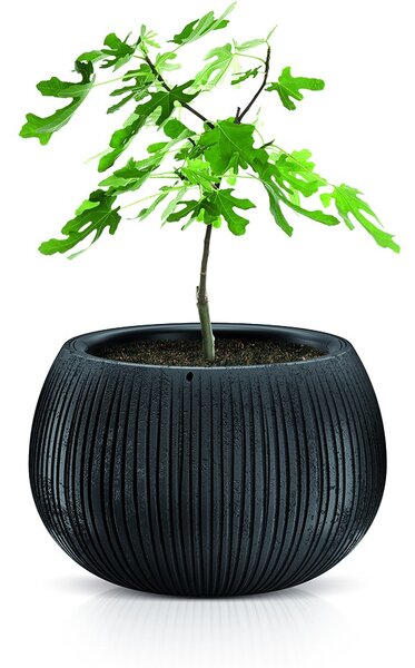 Prosperplast Obal na kvetináč s vložkou Bowl šedý, variant 18 cm