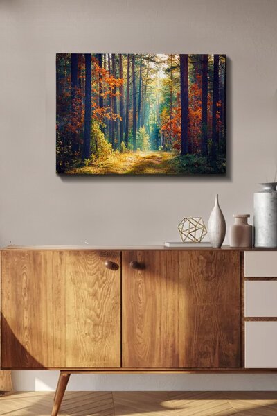Wallity Obraz na plátne Zázračný les 50x70 cm