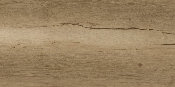Wood Gres Beige 30x60