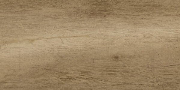 Wood Gres Beige 30x60