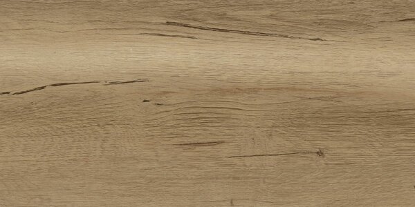 Wood Gres Beige 30x60