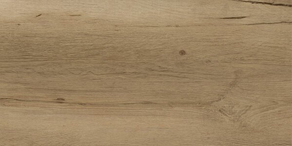 Wood Gres Beige 30x60