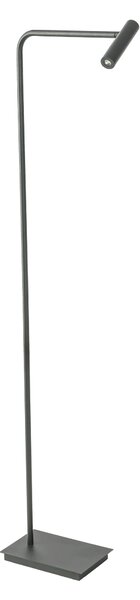 LED stojaca lampa Fler – Čierna