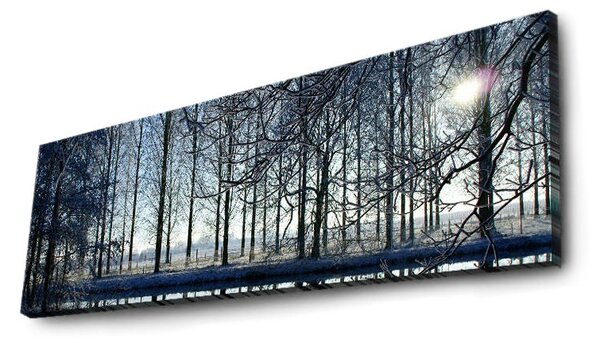 Wallity Obraz s LED osvetlením ZIMNÁ KRAJINA 37 30 x 90 cm