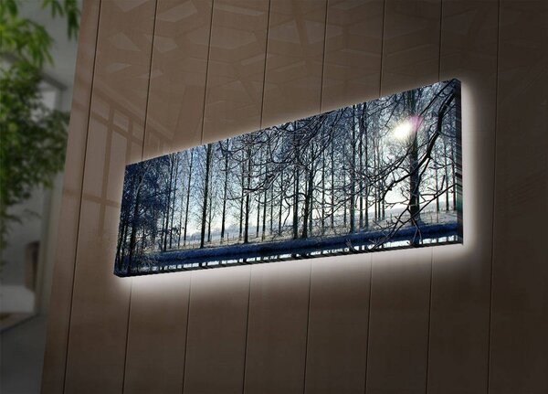 Wallity Obraz s LED osvetlením ZIMNÁ KRAJINA 37 30 x 90 cm