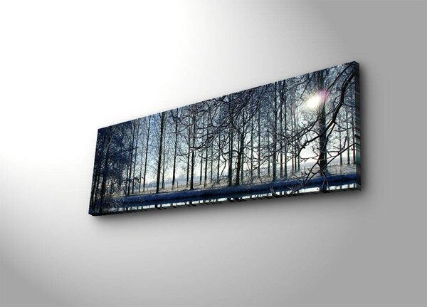 Wallity Obraz s LED osvetlením ZIMNÁ KRAJINA 37 30 x 90 cm