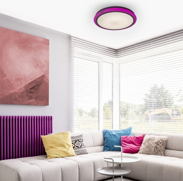 Rabalux 1510 - Stmievateľné stropné LED svietidlo LEONIE LED/32W/230V